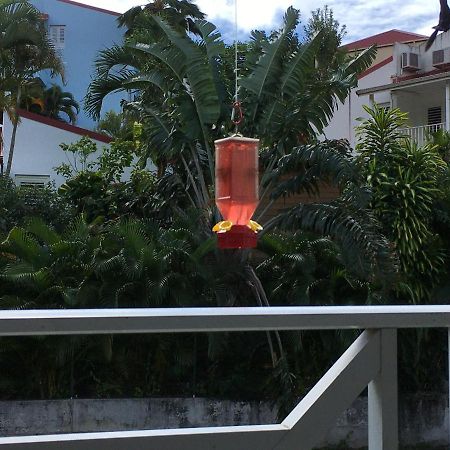 Le Colibri Appartement Les Anses-d'Arlets Buitenkant foto